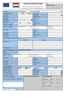 EU Cash Declaration Form
