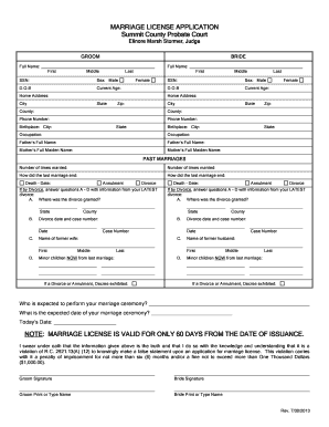 Summit County Marriage License Application