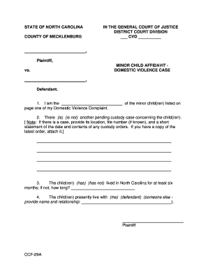 Minor Child Affidavit - Domestic Violence Case