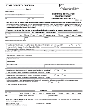 Domestic Violence Action Form