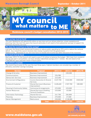Maidstone Council Budget Consultation Form