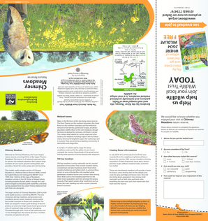 Chimney Meadows Nature Reserve Guide