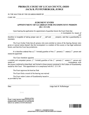 Guardianship Appointment Judgment Entry