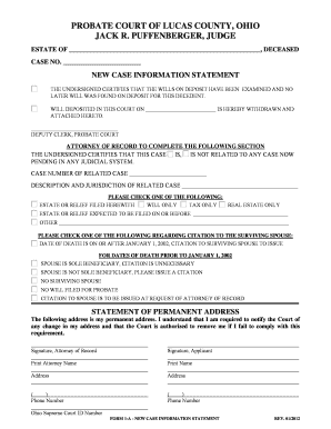 Ohio Probate Court New Case Information Statement