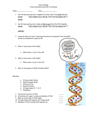 Amino acid worksheet - Honors Biology