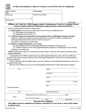 Affidavit of Credit for Child Support