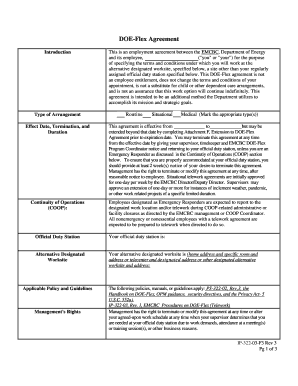 DOE-Flex Employment Agreement