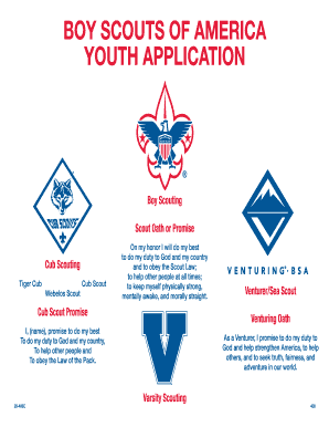Boy Scouts of America Youth Application