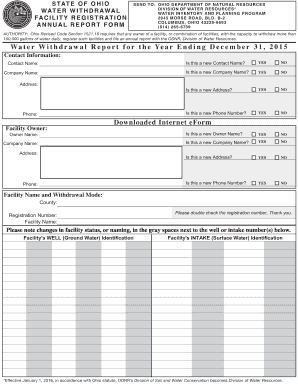 Inventory and Sales Report Form
