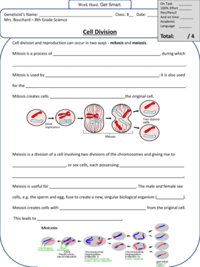 8th Grade Science Cell Division Worksheet