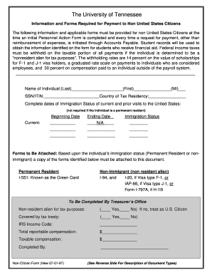 University of Tennessee Non-Citizen Payment Form