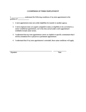 Term Employment Conditions Agreement