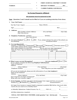 In Forma Pauperis Affidavit