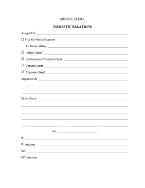 Domestic Relations Minute Clerk Form