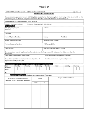 UK Christmas Temp Sales Advisor Application Form