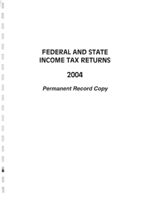 IRS Form 990 2004