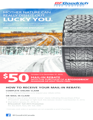 BFGoodrich Winter Tire Mail-In Rebate Form