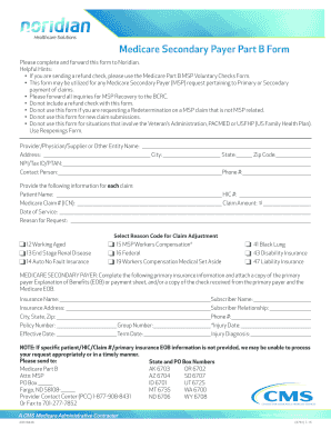 Medicare Secondary Payer Part B Form