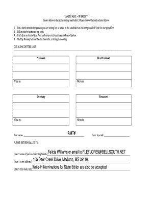 Mail-In Ballot