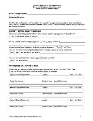 Georgia Prior Caregiver Service Report