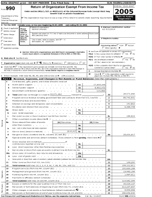 Form 990 2005
