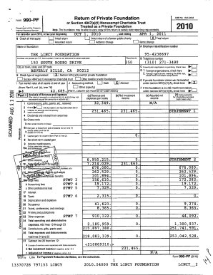 Form 990-PF 2010