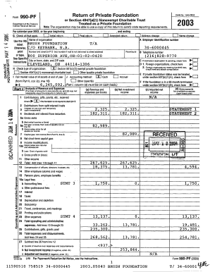 Form 990-PF 2003 Private Foundation Tax Return