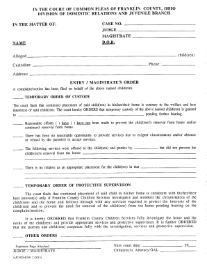 Temporary Custody Order