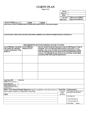 Mental Health Treatment Plan