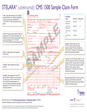 Form preview picture