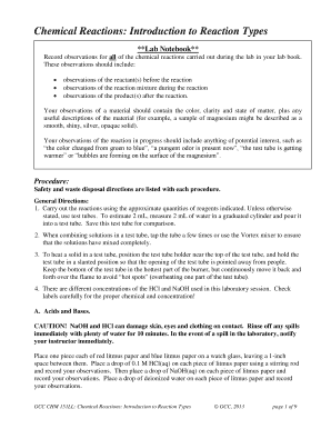 Chemical Reactions Lab Notebook
