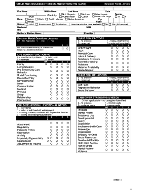 Child and Adolescent Needs and Strengths (CANS) Form 0 to 5