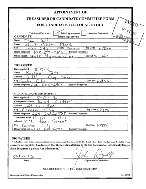 Appointment of Treasurer or Candidate Committee Form