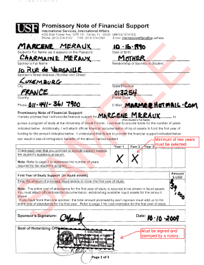 Promissory Note of Financial Support