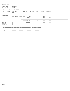 Medicaid Claim Data Submission Report