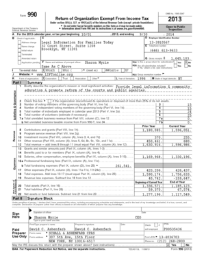 Form 990 2013