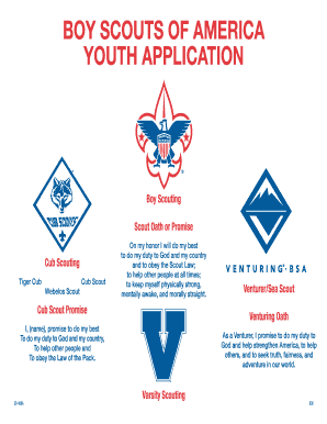 Boy Scouts of America Youth Application