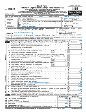 Form 990-EZ 2006