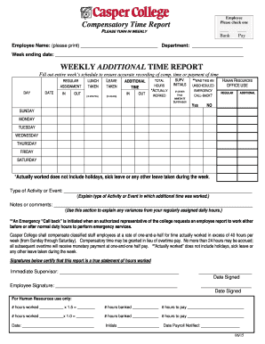 Employee Compensatory Time Report