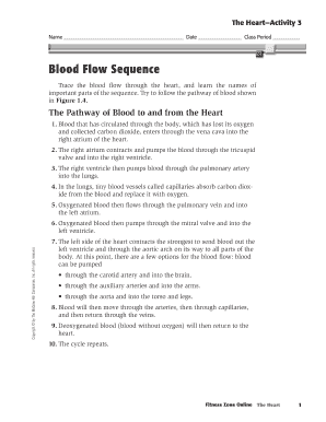 Heart Blood Flow Activity Worksheet