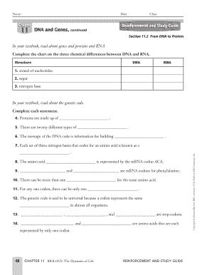 DNA and Protein Study Guide