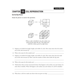 Cell Reproduction Worksheet