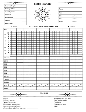 Birth Record Labor Progress Chart