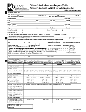 Texas CHIP and Medicaid Application Form