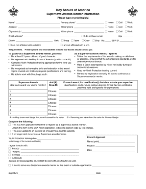 Boy Scouts of America Supernova Awards Mentor Application