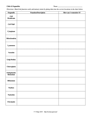 Cells & Organelles Worksheet