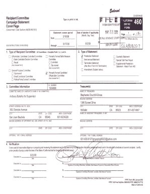 California Campaign Statement Form 460