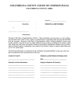 Ohio Court Personal Identifiers Form