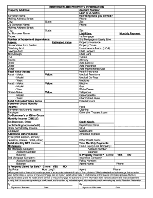 Mortgage Borrower Financial Statement