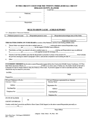 Rule to Show Cause - Child Support